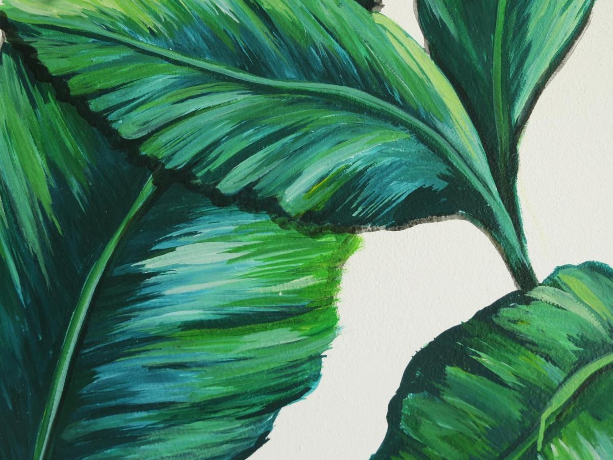 Art Maya Rooms Isola Holbox Esterno foto