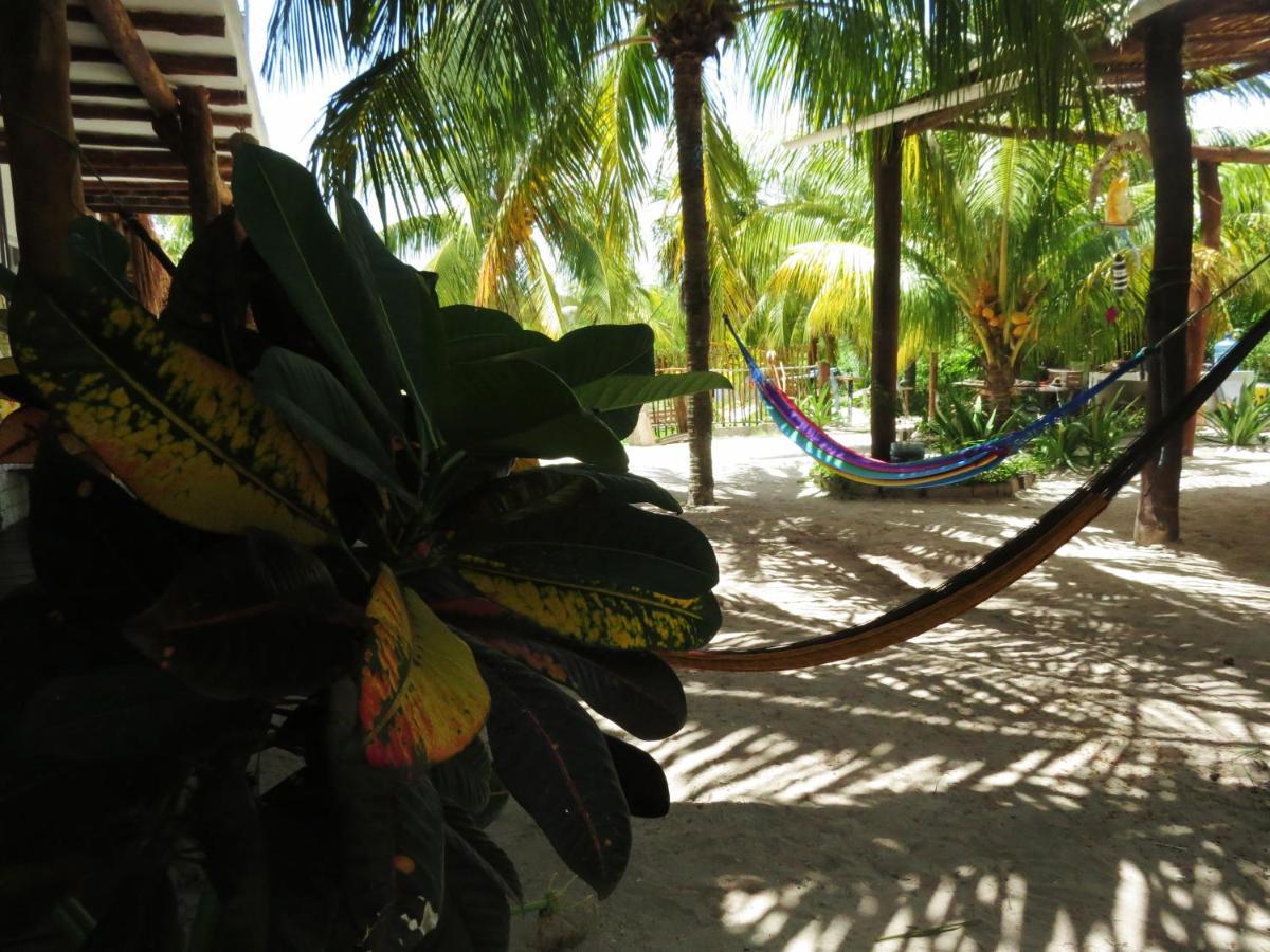 Art Maya Rooms Isola Holbox Esterno foto